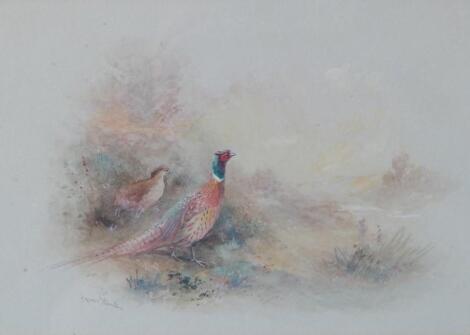 James Stinton. Pheasants in landscape