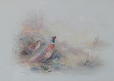 James Stinton. Pheasants in landscape