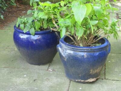 Two blue glazed circular garden planters