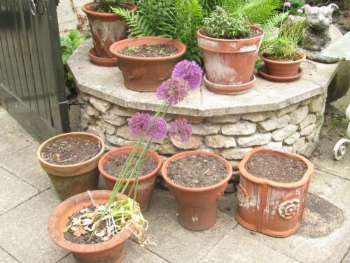 Assorted terracotta stone and other planters