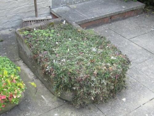 A hand hewn stone bullnose trough