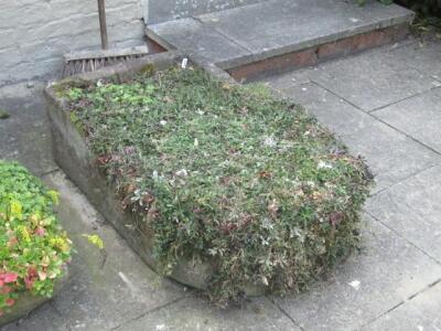 A hand hewn stone bullnose trough