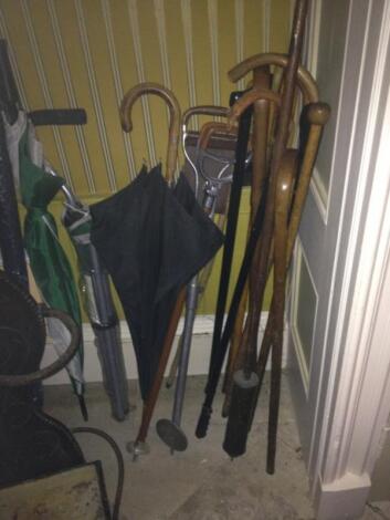 Various walking sticks