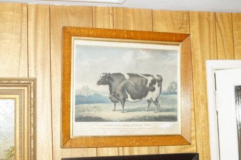 By & After William Henry Davis. An Improved Short-Horned Cow