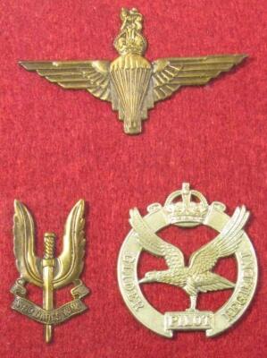 Various cap badges - 5