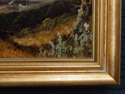 D Hall (19thC). Figure in country landscape - 3