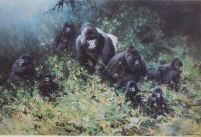 David Shepherd (b.1931). The Mountain Gorillas of Rwanda