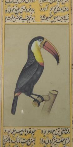 Middle Eastern School. Toucan