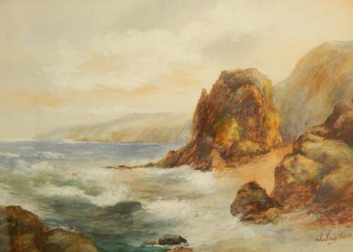 S. Sugden. Devon coast