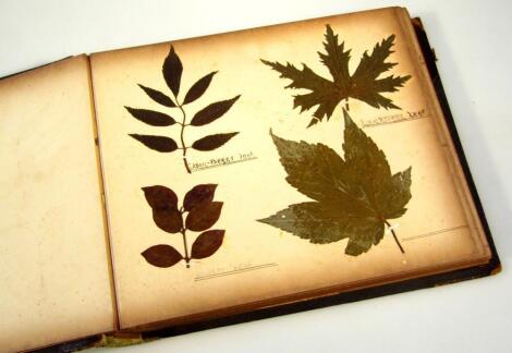 A Edwardian album containing a quantity of various pressed flowers