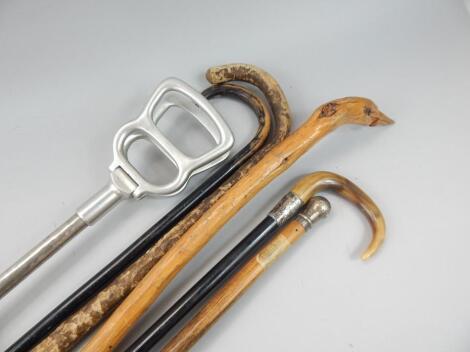 Various walking sticks