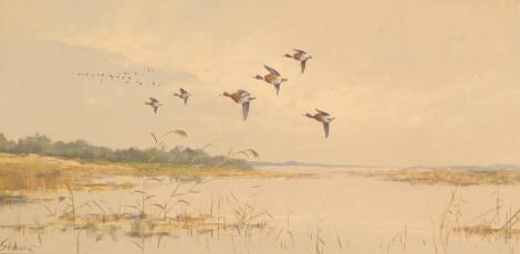 G. Stevens. Geese in flight