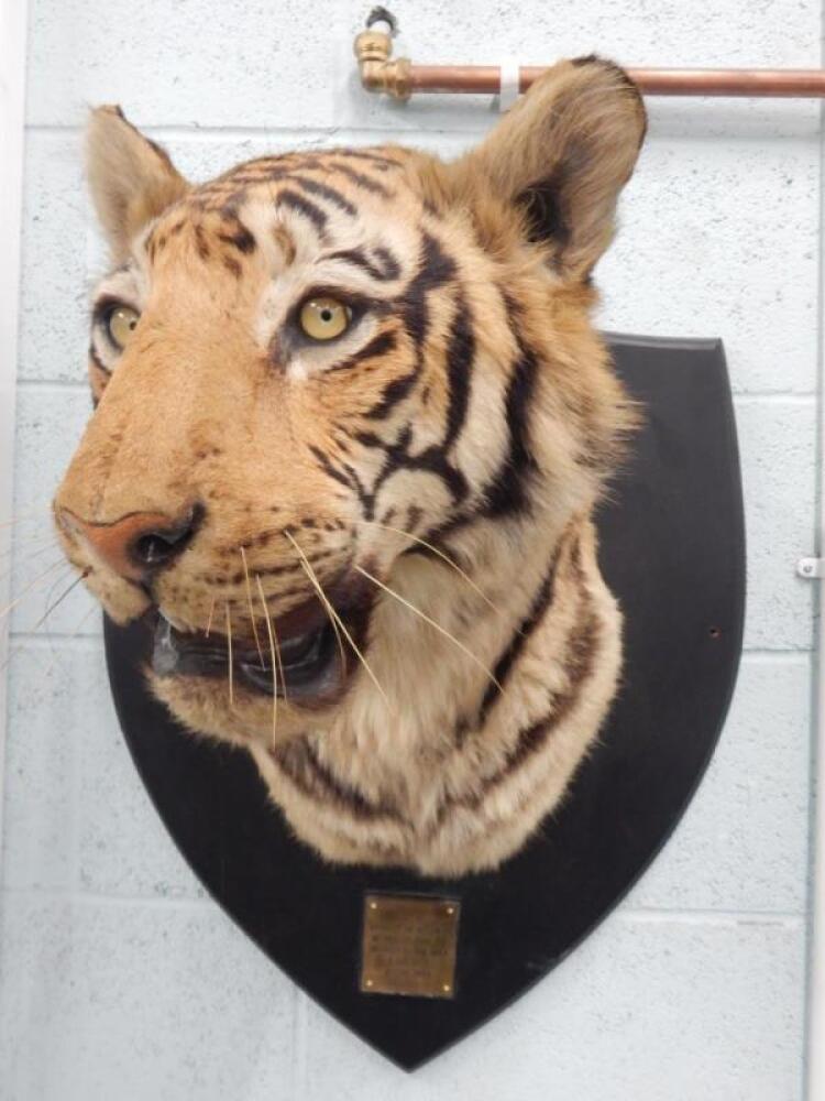 The official auction site of Tigers Auctions