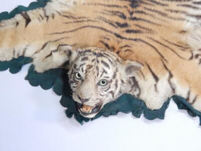 A taxidermied tiger cub skin rug - 2