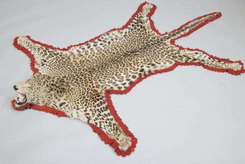 A taxidermied leopard skin rug