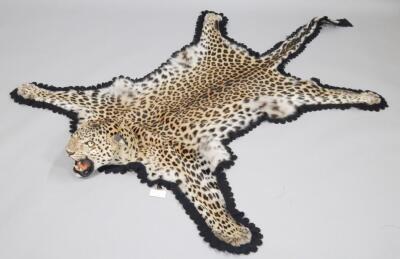 A taxidermied leopard skin rug