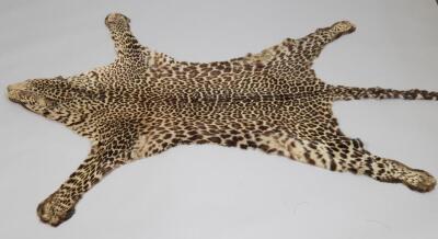 A leopard skin rug