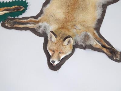 Two fox skin rugs - 2