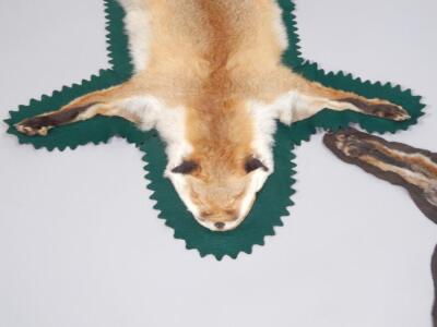 Two fox skin rugs - 3