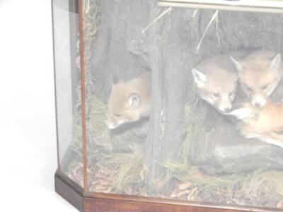 An unusual taxidermied fox group - 3