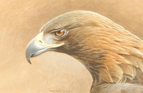 Trevor Boyer (born 1948). Golden Eagle