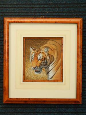 Trevor Boyer (born 1948). Bengal tiger - 2