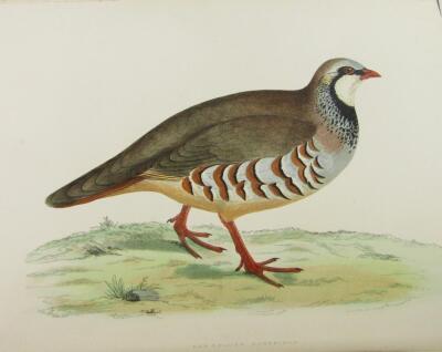 Morris (Beverley). British Game Birds and Wildfowl 60 wood-engraved plates printed in colours by Ben - 3