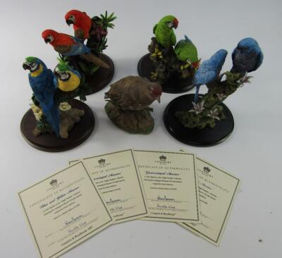 Four Coalport Fragile Paradise bird sculptures