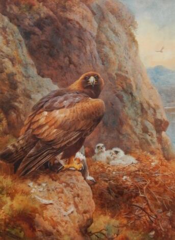 After Archibald Thorburn. Eagle feeding her chicks