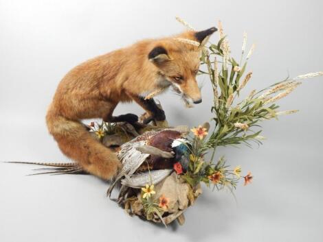 A taxidermied fox and a pheasant