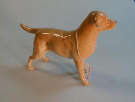 A Beswick figure No. 1548 Labrador "Solomon of Wendover" golden