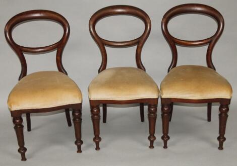 A set of three Victorian mahogany balloon back dining chairs