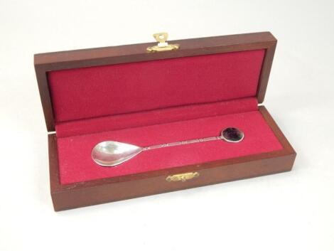 A modern silver spoon