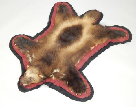 A wolverine skin rug