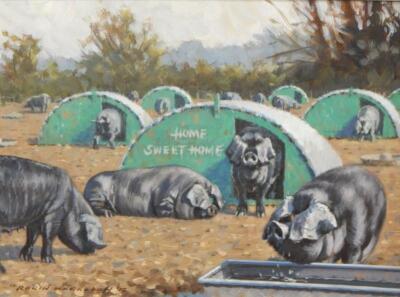 Robin Wheeldon (b.1945). Suffolk pigs