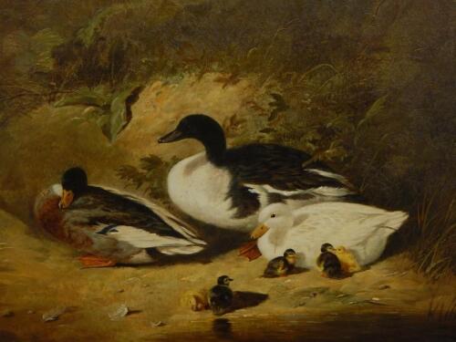 19thC Continental School. Ducks and ducklings on river bank