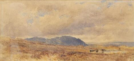 David Cox (1809-1885). Welsh landscape with cattle