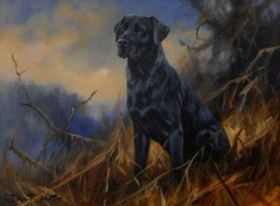 John Trickett (b1952). Black Labrador