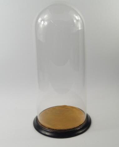 A Victorian glass dome on an ebonised base