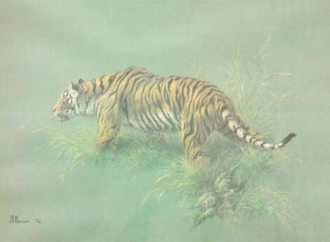 Stephen Pearson. Tiger in the grass