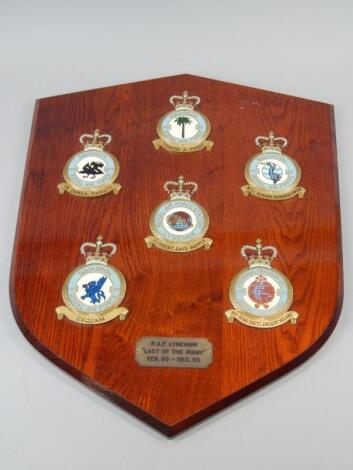 An RAF related shield