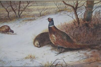 Frank B Harrington (20thC). Pheasants in winter scene