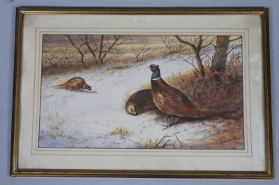 Frank B Harrington (20thC). Pheasants in winter scene - 2