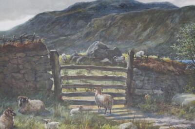 D G Stall (19th/20thC). Rural landscape with sheep