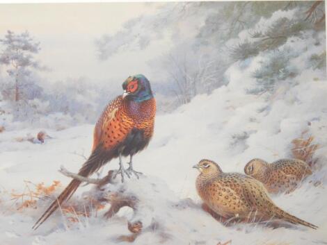 Archibald Thorburn. Snow in the Coverts