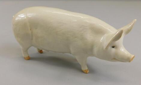 A Beswick Sow Champion Wall Queen 40th