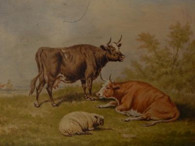 W T (19thC). Cattle and sheep