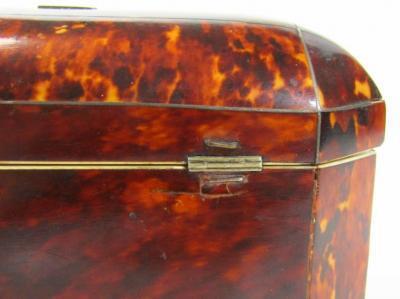 An early 19thC Regency tortoiseshell tea caddy - 7