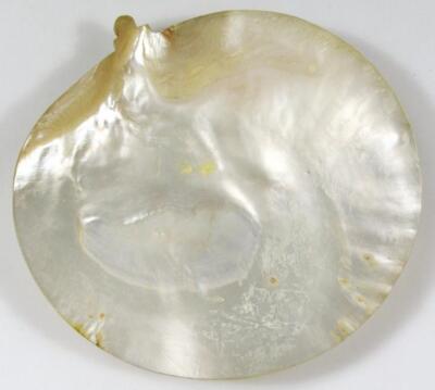 A late 19thC nacre mother of pearl shell - 2