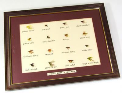 A framed set of modern trout flies of Ireland